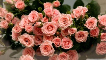 Obituary of Rita Ann Masters