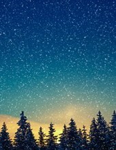 Obituary of Frank  Aubrey Wright