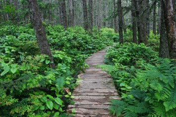 Obituary of JT Culbertson