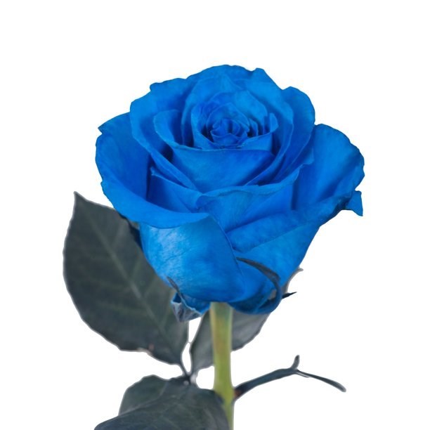 Obituary of Delfino Gordie Rivera