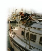 Obituary of Michael Robert Feeney