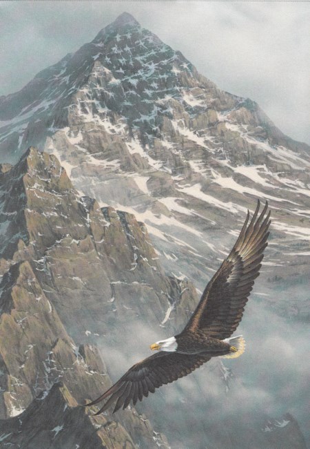 Obituary of Duane Rhodus