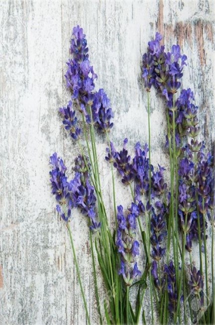 Obituary of Don Curtis Cunningham