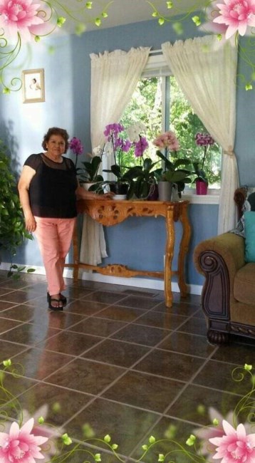 Obituary of Daisy Delgado