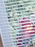 Anna Rudak Obituary - Montreal, QC