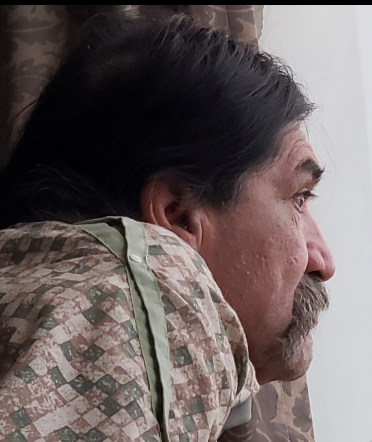 Obituary of Stephen "Bull" Lee Pritchett