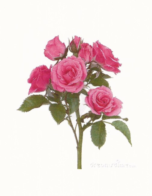 Obituary of Eloise Ayers