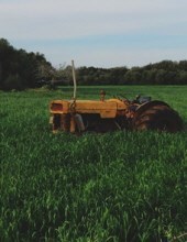 Obituary of James E. Menear Jr.