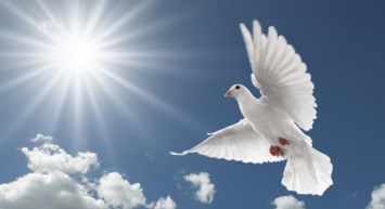 Obituario de Carrol Thomas Harkness