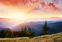 Obituary of Theodore Orville Ebert