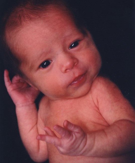 Obituary of Cole Allen Shedd