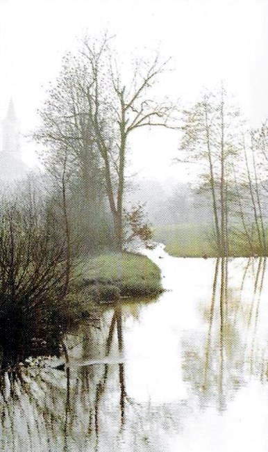 Obituary of Peter Rodriguez