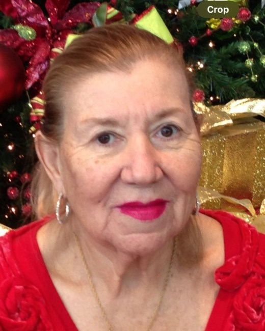 Obituary of Sophia M. Hernandez