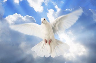 Obituary of Wilma Irene Nichols