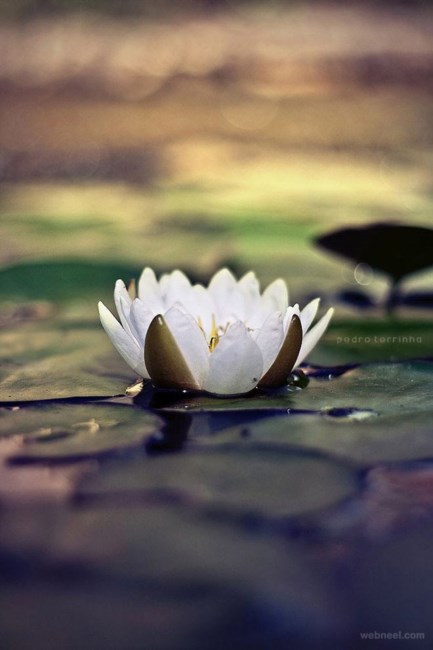 Obituary of Doris Irene Kyle