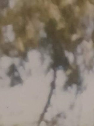 Jose Solis Obituary El Paso, TX