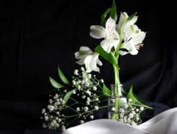 Obituary of Hai Thanh Tran