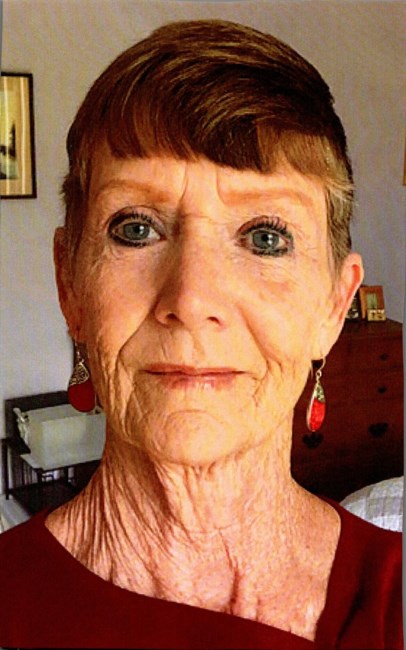 Obituary of Bonni Dean Lewis