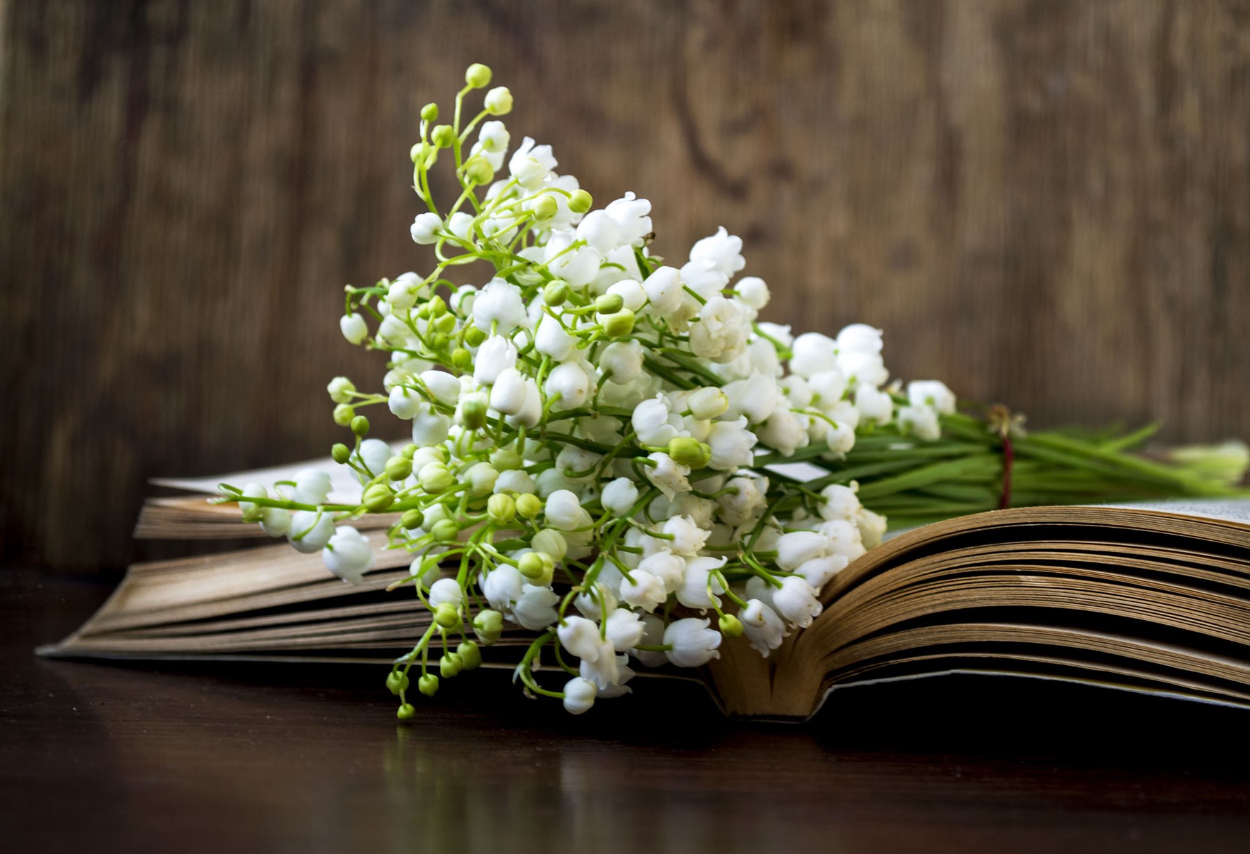 Obituary of Brett Anthony Payne