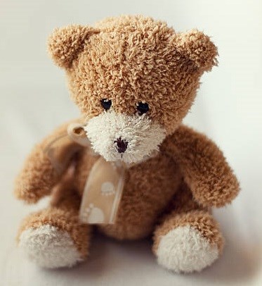 Obituary of Willow Sakai Nord