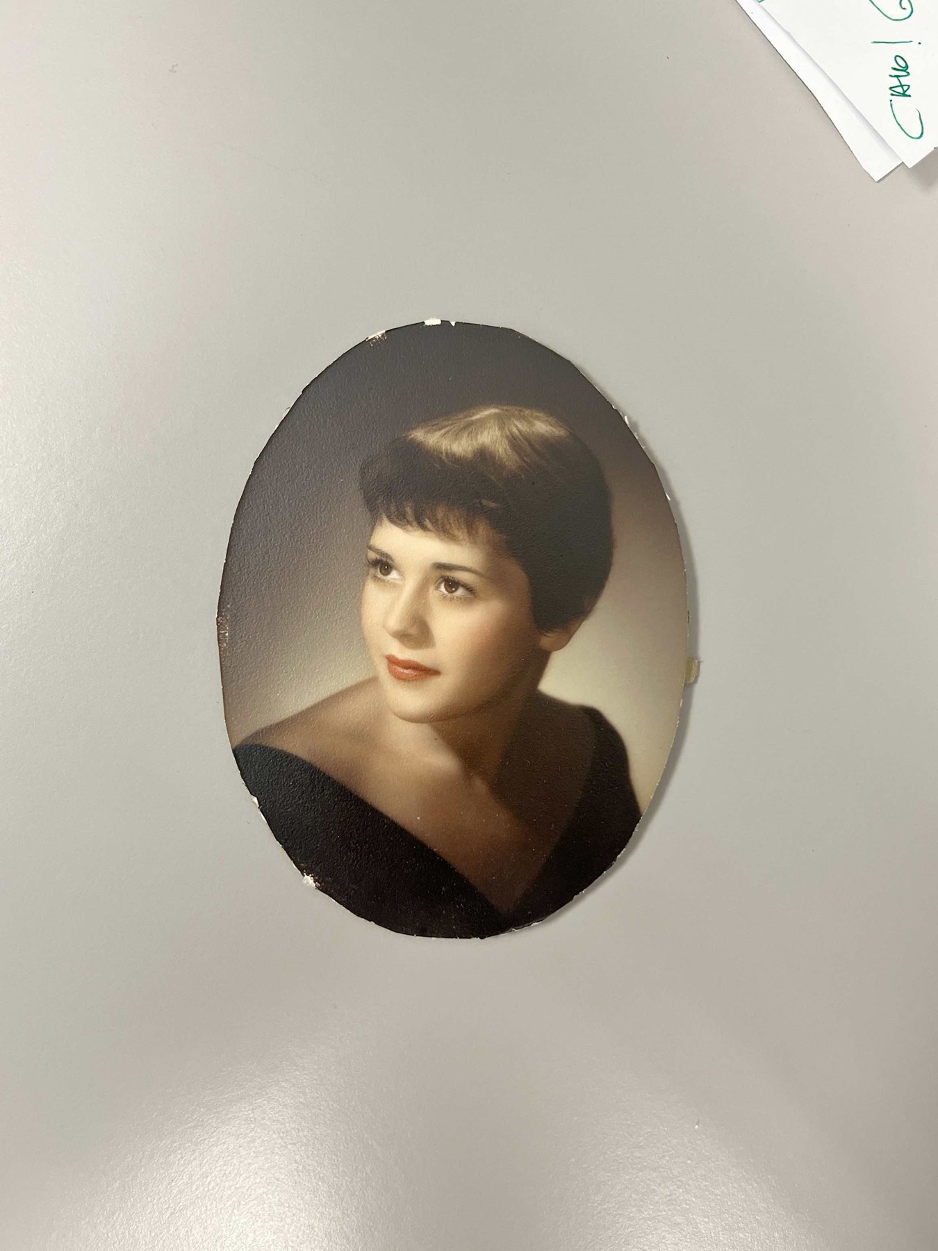 Obituary of Mary Lynn McCrindle