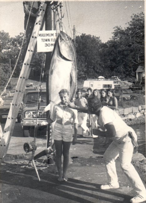 Obituary of Bobbie Ann (Baggs) Arico