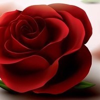 Obituary of Deborah Jones
