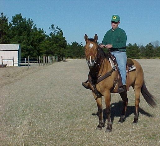 Obituary of TR Runnels