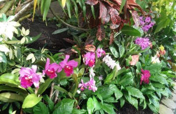 Obituary of Nancy Ellen Snider