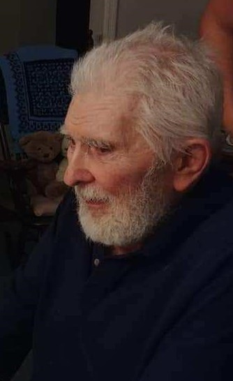 Obituary of Dennis J. Vecsey