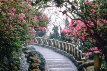 Obituary of Betty Tze Liu Shaw