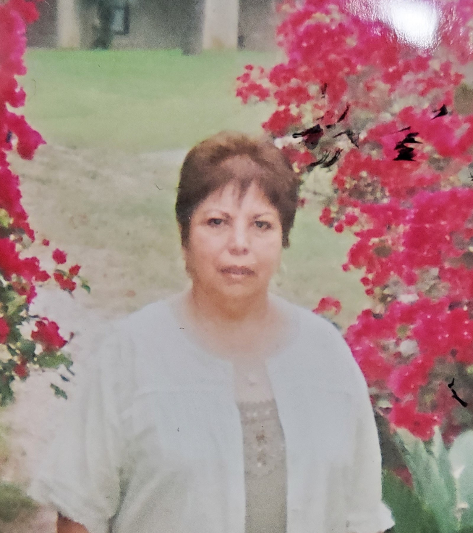 Obituary of Janie Y. Carrejo