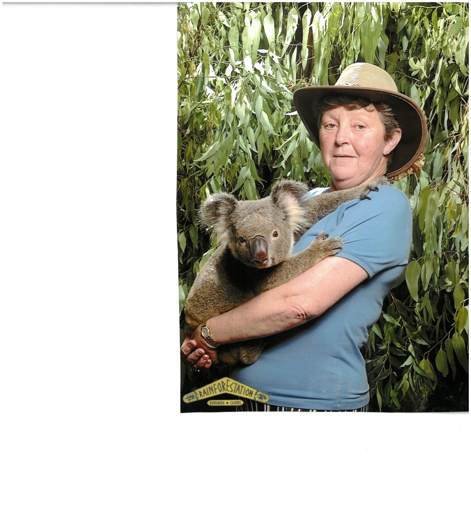 Obituary of Deborah Gail Campbell