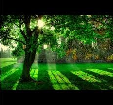 Obituary of Angela Sullivan