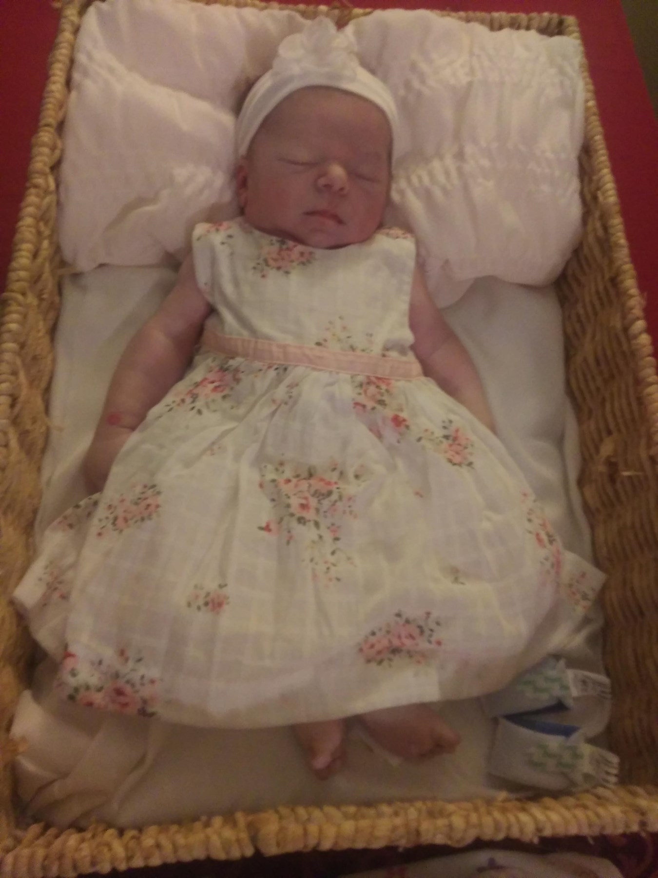 Obituary of Lea Lynn Pressnell