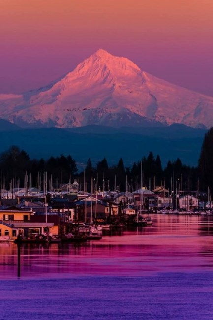 Obituary of Barbara Ann Fanger