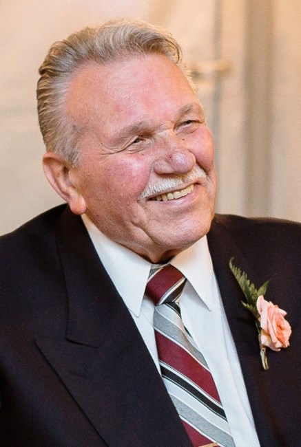 Zoran Dobranic Obituary Oshawa On