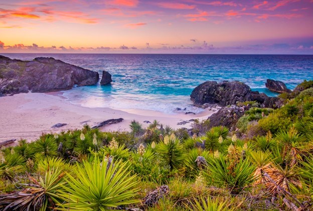 Avis de décès de Michael Timothy Lent