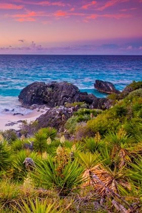 Obituary of Michael Timothy Lent