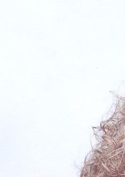 Sara Riddle Obituary - Charlotte, NC