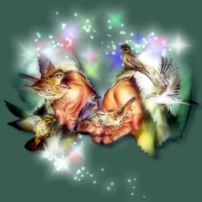 Obituary of Koan Boone Tracy