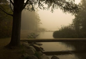 Obituary of Imadine Mahmound