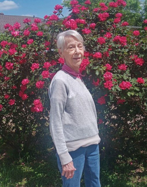 Obituary of Joyce Isabella Mercurio