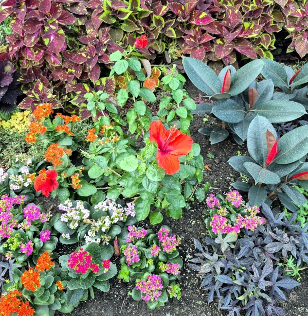 Avis de décès de Myo Khin