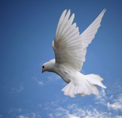 Obituary of Ms. Margaret Ann Obrien
