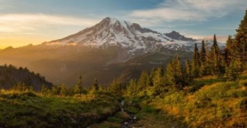 Obituary of Joyce Watson