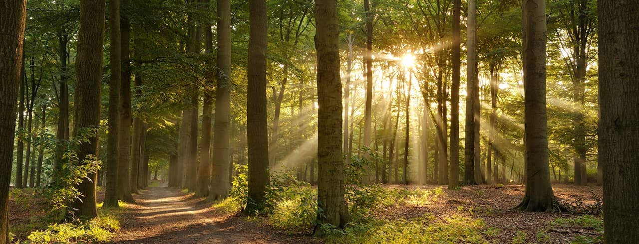 Obituary of Randy Russell Field