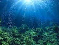 Obituary of Esther Hernandez