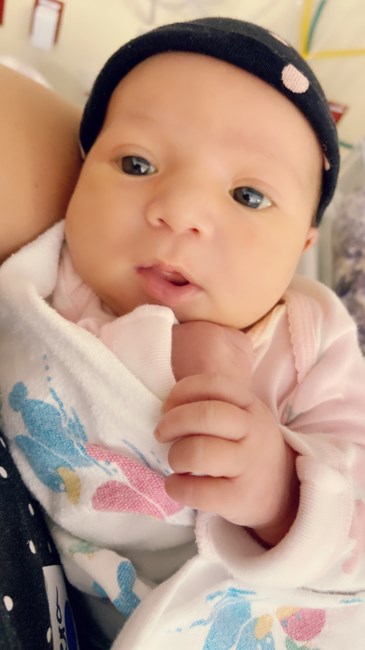 Obituary of Charlotte Gray Perry