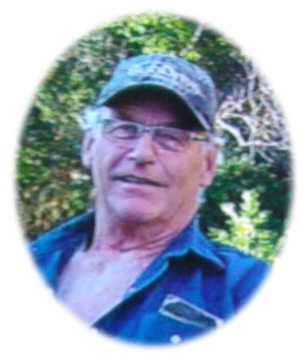 Dale Swanson Obituary - Wolseley, SK